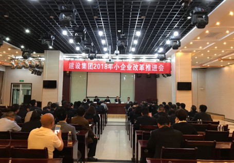 建設集團召開小企業(yè)改革推進會暨“雙先”表彰會