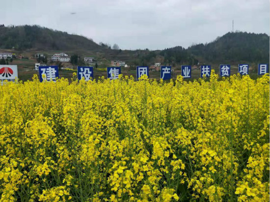 公司領(lǐng)導(dǎo)寧興剛、侯本英到扶貧定點幫扶村看望慰問困難群眾